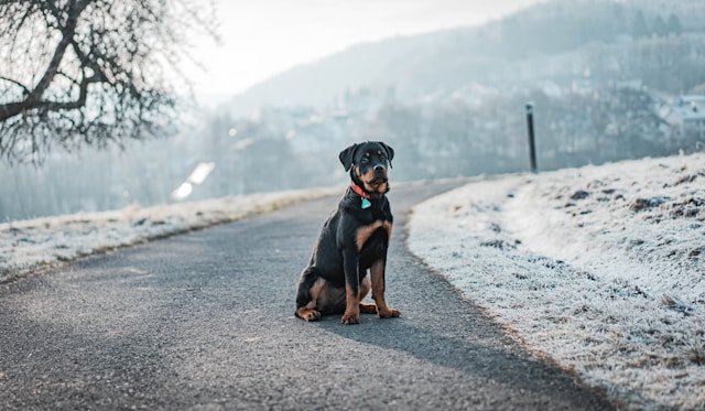 why-choose-us kevin-seibel-edk-o0n4gm4-unsplash