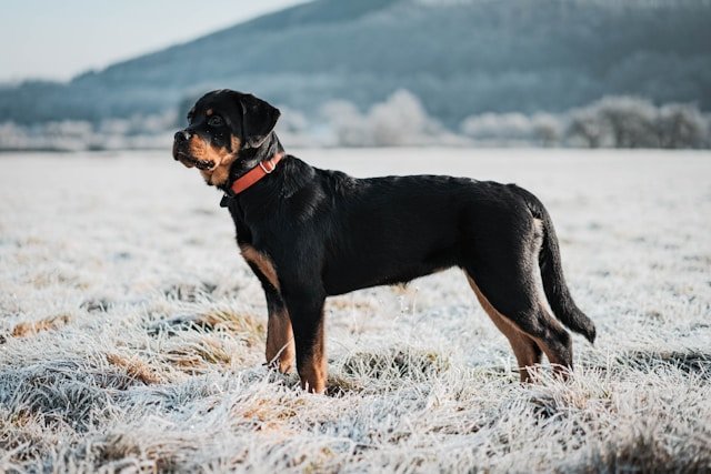services-01 kevin-seibel-s3fnidf3vvs-unsplash