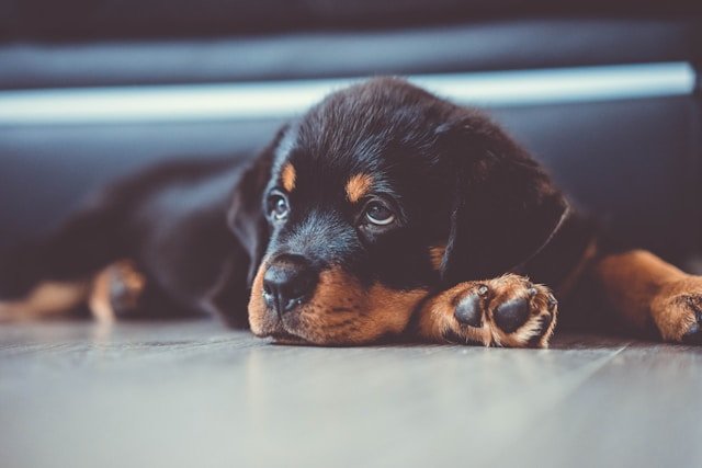who-we-are kevin-seibel-zdjp6eh3ucy-unsplash